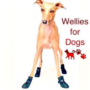 Wellies.for Dogs 🐶 Size Small - In original packaging